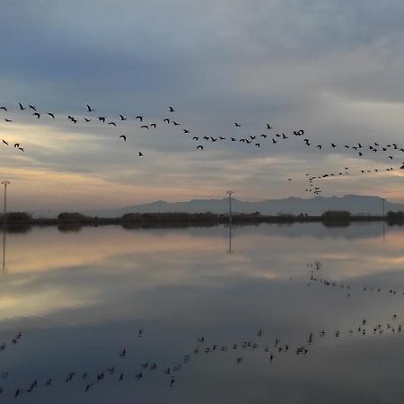 Appartamento Mi Pequena Terraza Alaquàs Esterno foto